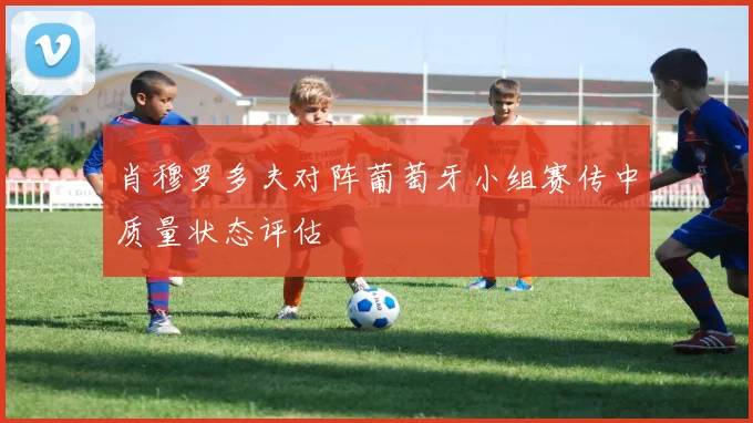 肖穆罗多夫对阵葡萄牙小组赛传中质量状态评估