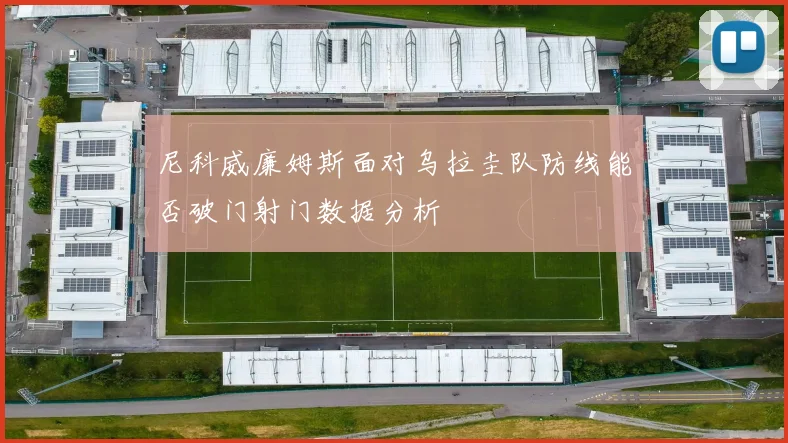 尼科威廉姆斯面对乌拉圭队防线能否破门射门数据分析