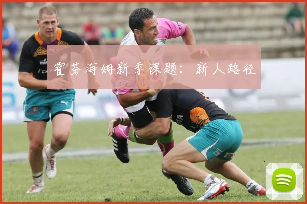 霍芬海姆新季课题:新人路径